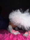 puppyknucklesxx Altpins Profile Picture