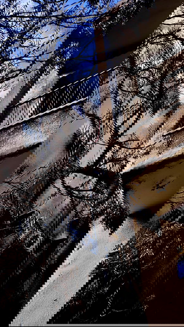 romy_ayalla_lavi romy_ayalla_lavi archive image