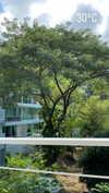 veroni22ka Altpins Profile Picture