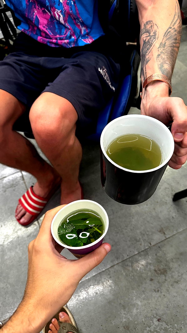 assoolin instagram image archive image