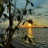 itsnokiiia Altpins Profile Picture