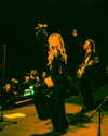 cannonstheband Altpins Profile Picture