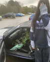 jahia_brown Altpins Profile Picture