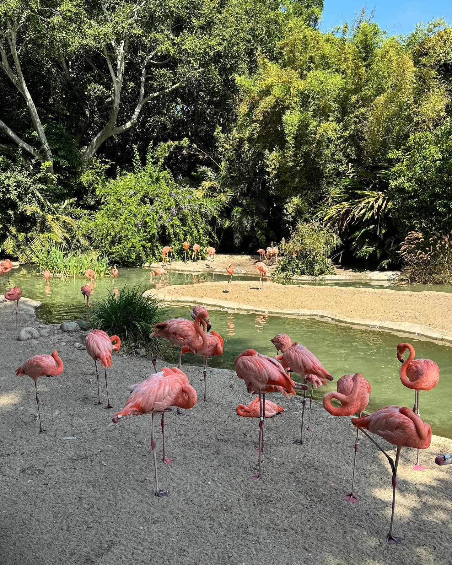 jtilb2 instagram image archive image