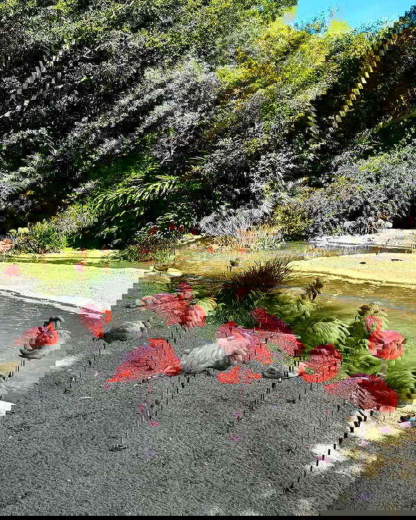 jtilb2 image ~ Altpins