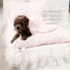 1uvgabi Altpins Profile Picture