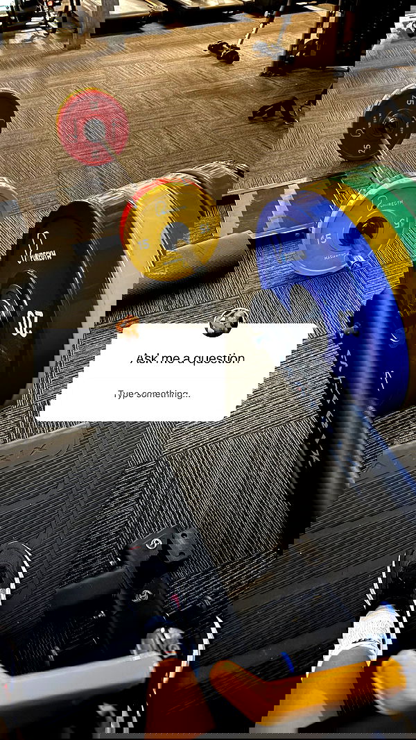 bakedsloths bakedsloths archive image