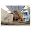 katehudson Altpins Profile Picture
