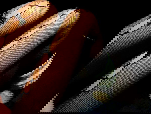 kitty.elliss kitty.elliss archive image