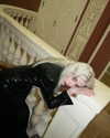 alien.hanna Altpins Profile Picture
