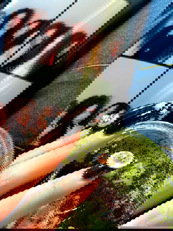 sundaykalogeras sundaykalogeras archive image