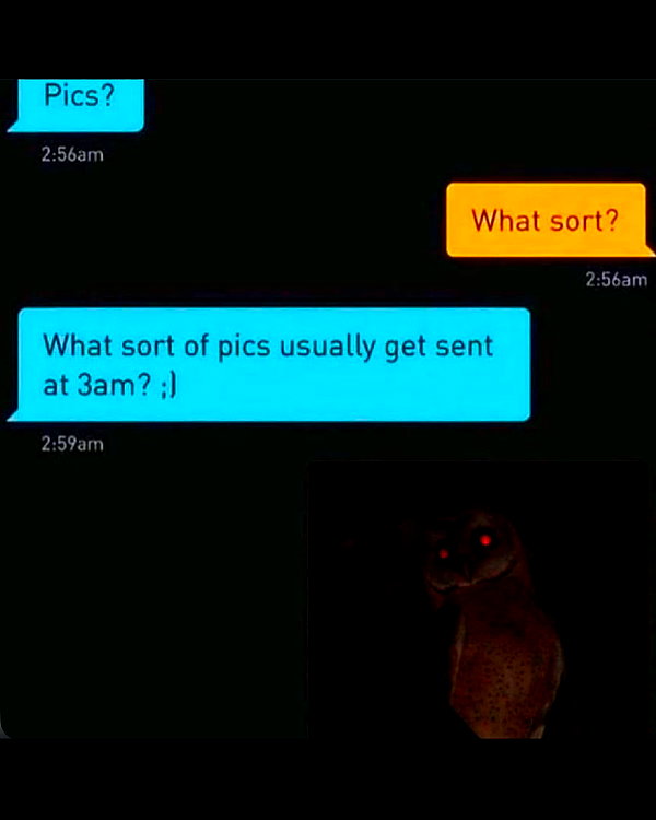 leanbeefpatty instagram image archive image