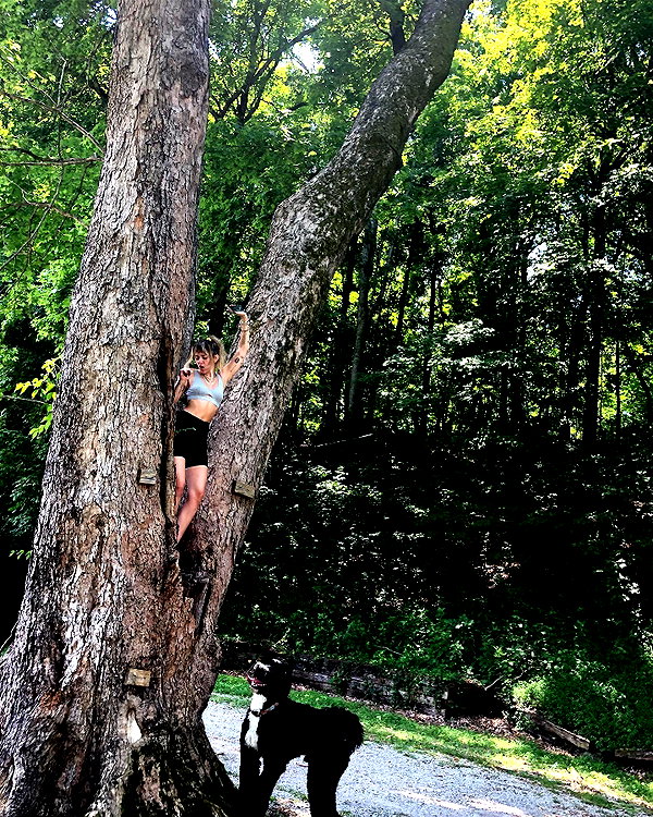 mileycyrus instagram image archive image
