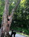 mileycyrus Altpins Profile Picture