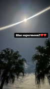 lydiavioletofficial Altpins Profile Picture