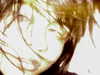bugz4brainz Altpins Profile Picture
