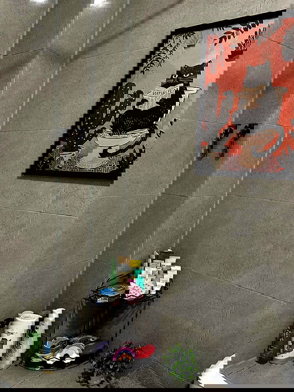 mishel116 mishel116 archive image