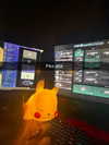 pikakaty Altpins Profile Picture