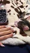 katrina.zaiceva Altpins Profile Picture