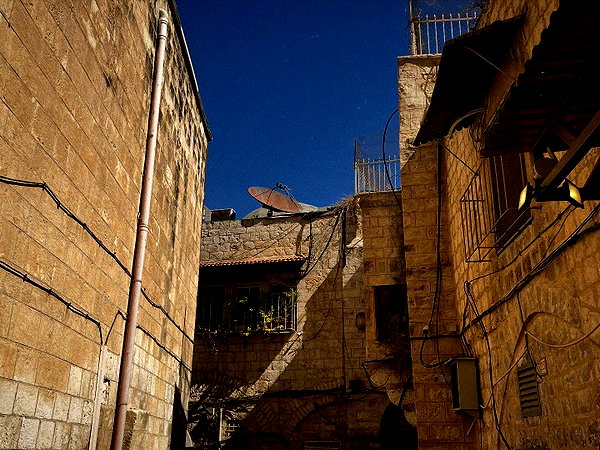 _femalien instagram image archive image