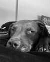 solzarubin_ Altpins Profile Picture