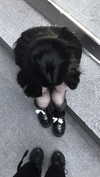 menorixqq Altpins Profile Picture