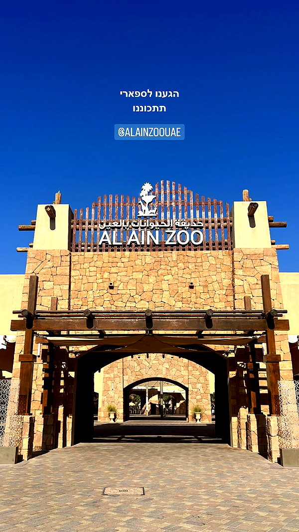 barzomer instagram image archive image