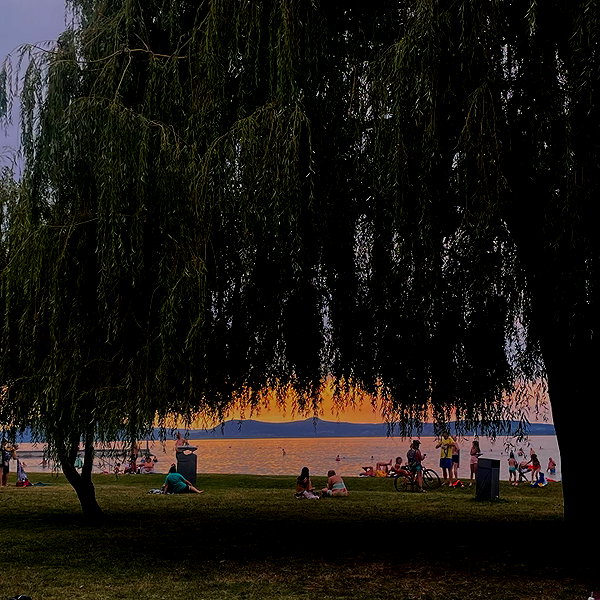 borkwsmh instagram image archive image