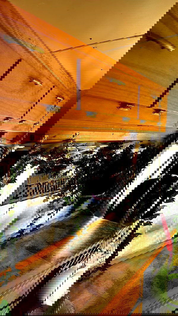 zommmbri zommmbri archive image