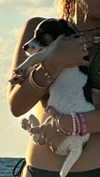 babynympho_archive Altpins Profile Picture