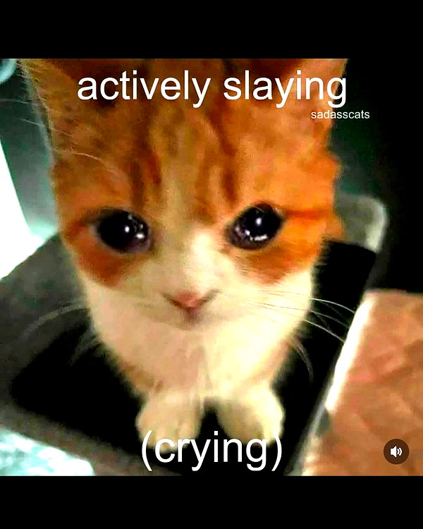 leanbeefpatty instagram image archive image