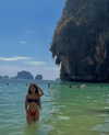 __yaheli_ Altpins Profile Picture