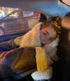 ptpchik Altpins Profile Picture