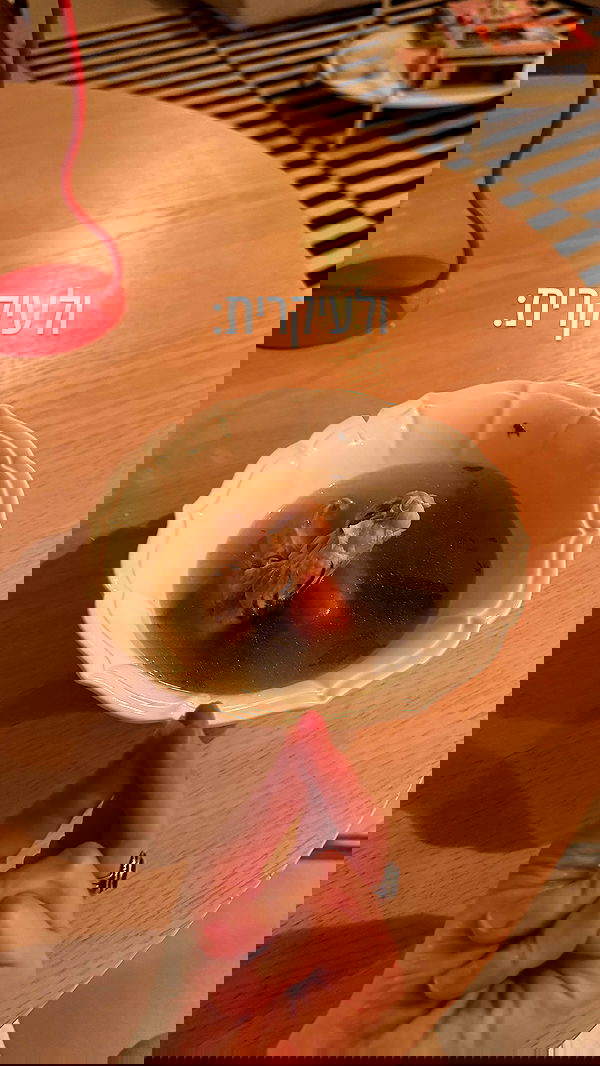 iambohema.v2 iambohema.v2 archive image