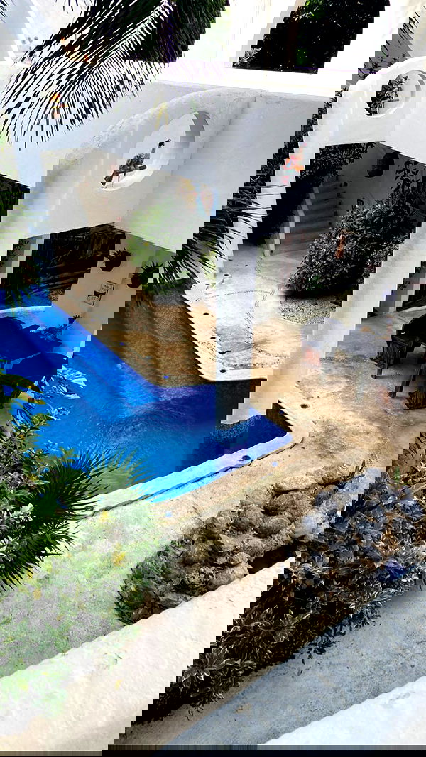 manjolamuriqi manjolamuriqi archive image