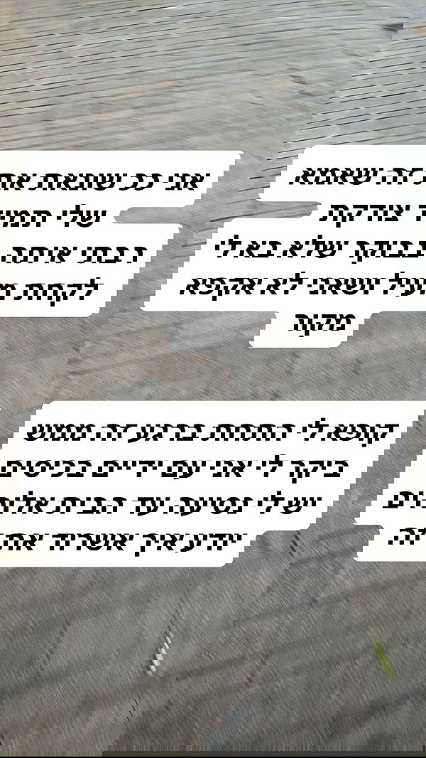 shelly_.mor shelly_.mor archive image