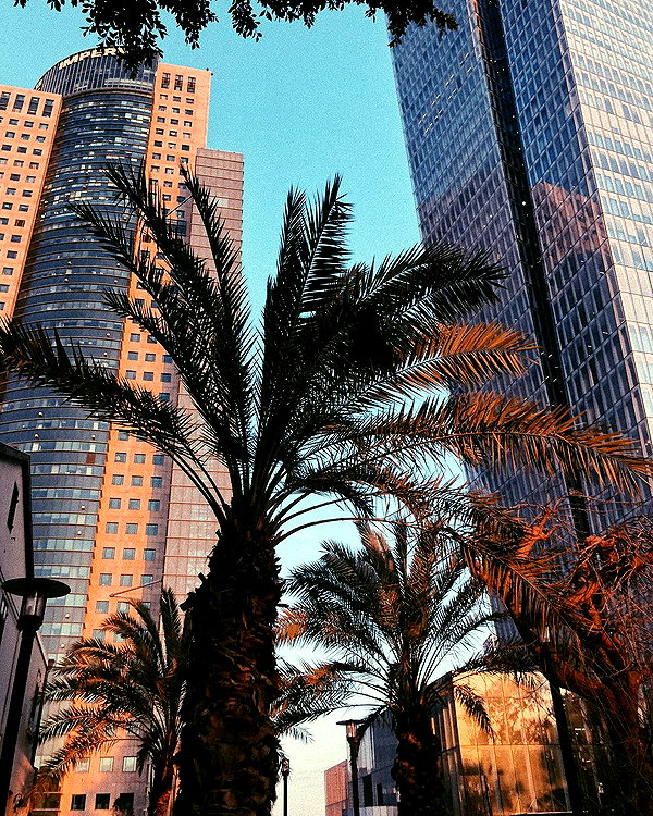 marii.a_v instagram image archive image