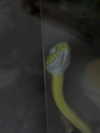 6a6ayaga3 Altpins Profile Picture