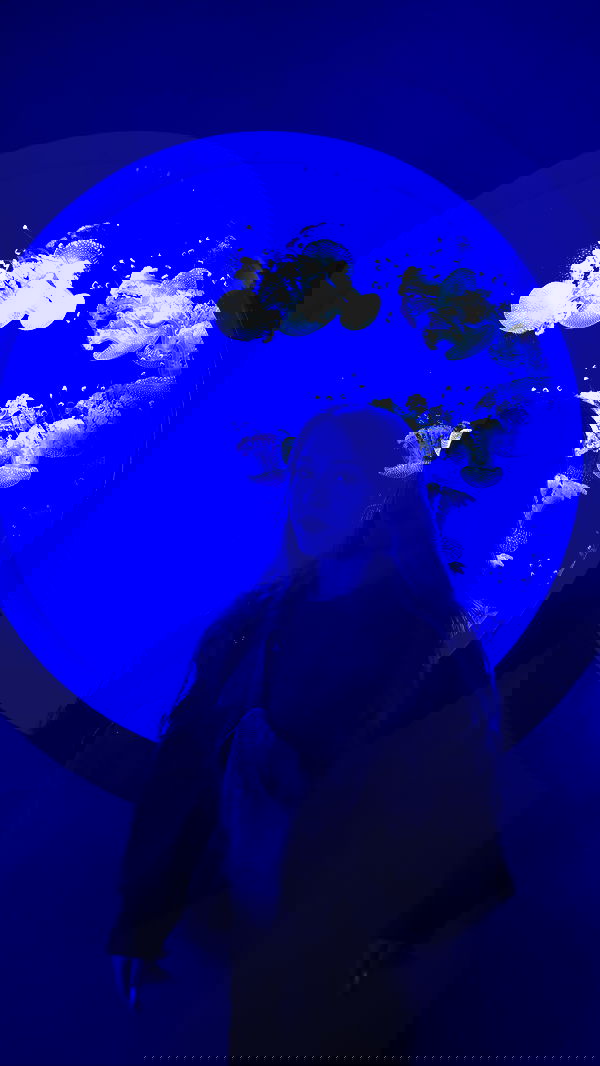 natalllluli natalllluli archive image