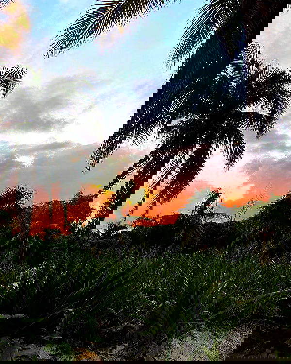 manjolamuriqi manjolamuriqi archive image