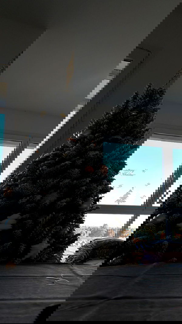 kasumi_sen image ~ Altpins