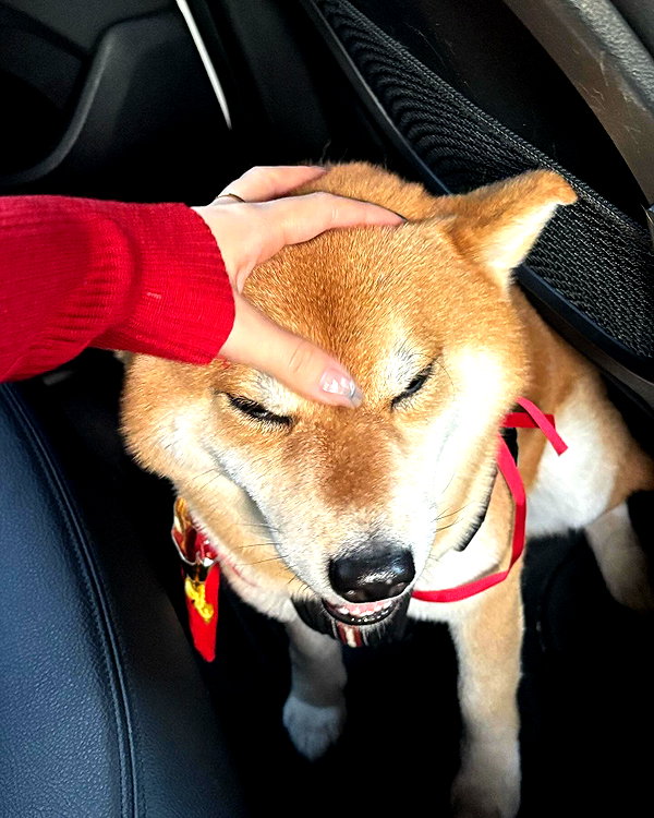 e.shao_417 instagram image archive image