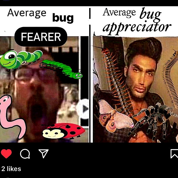 lowrtown instagram image archive image