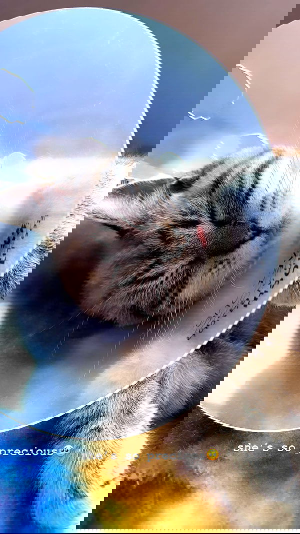 suikomuu suikomuu archive image