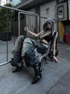 31cna_ Altpins Profile Picture