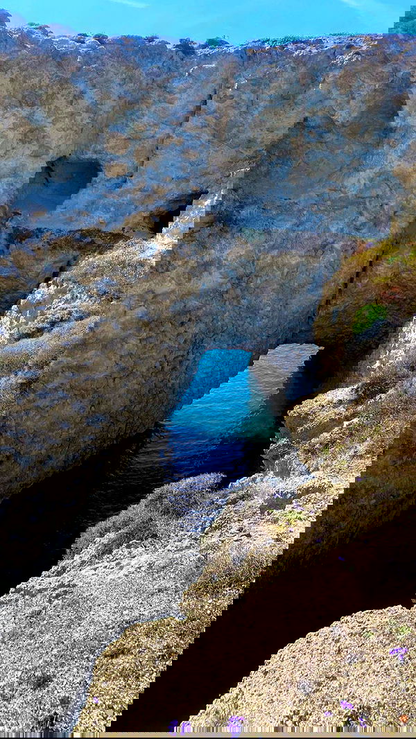 taylor.creeden taylor.creeden archive image