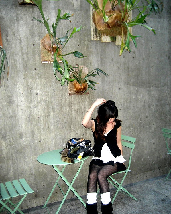 meimazing instagram image archive image