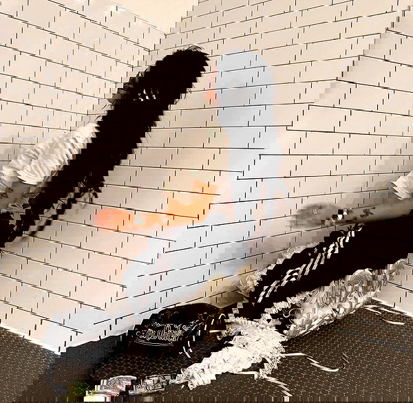 nevaaadaa nevaaadaa archive image