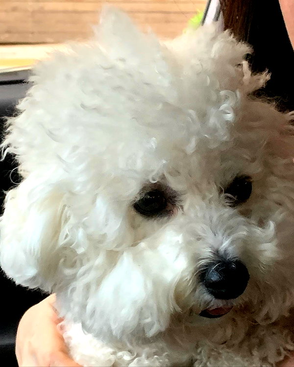 daxbin instagram image archive image