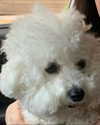 daxbin Altpins Profile Picture